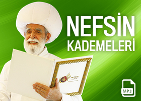 Nefsin Kademeleri